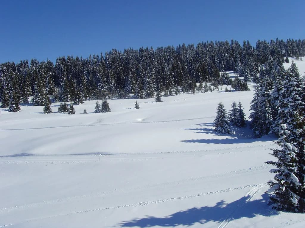 Skiing in Avoriaz in April: Late-Season Pistes and Passes
