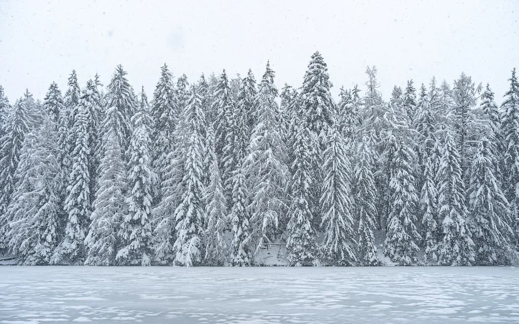 Crans Montana Ski Hire: Shops, Kit and What to Book