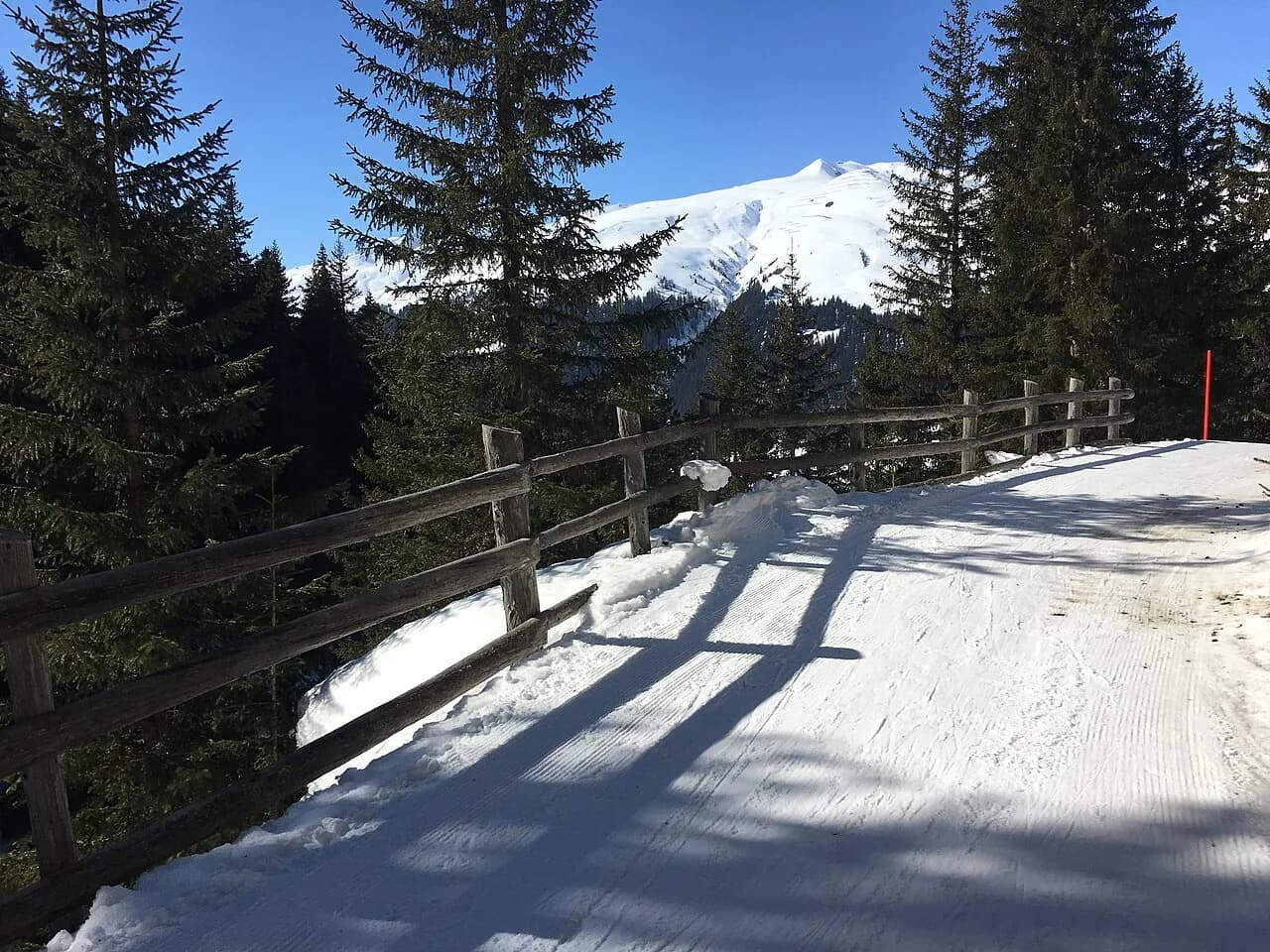 Davos Skiing Guide: Which Ski Area and Where to Base