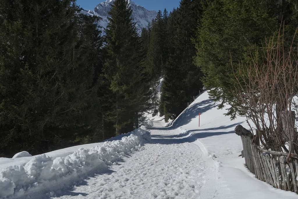 Engelberg Ski Hire: Where to Rent and What to Book