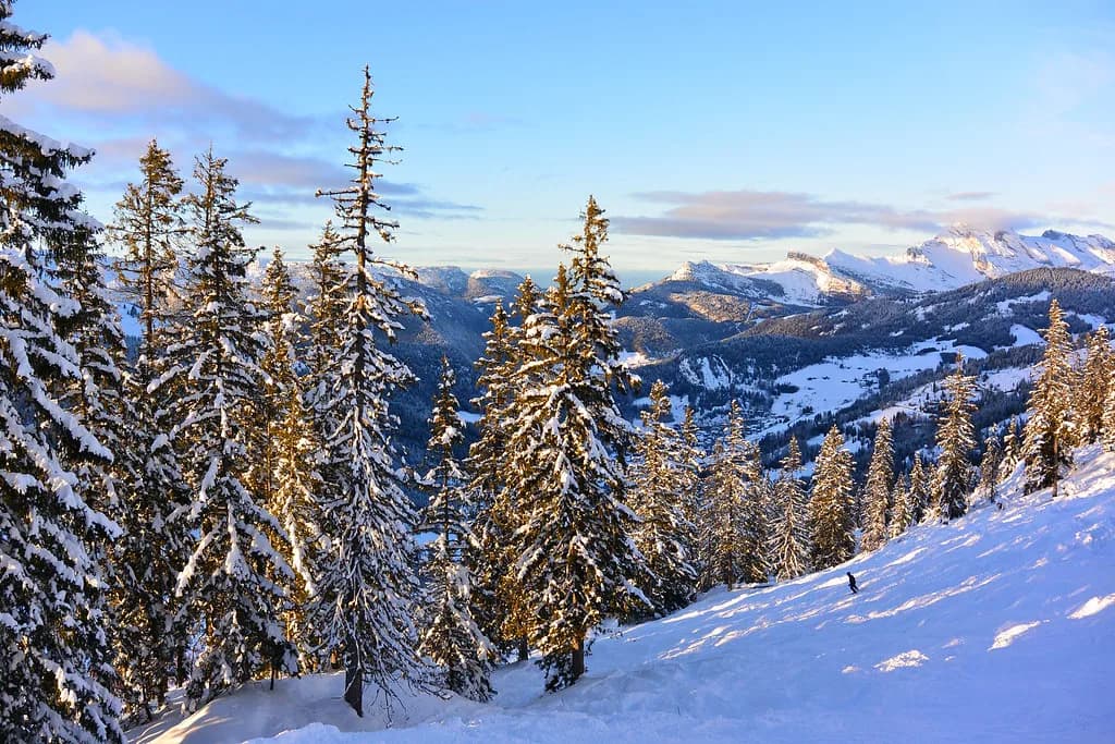 Ski Lessons in La Clusaz: Schools, Formats and Booking