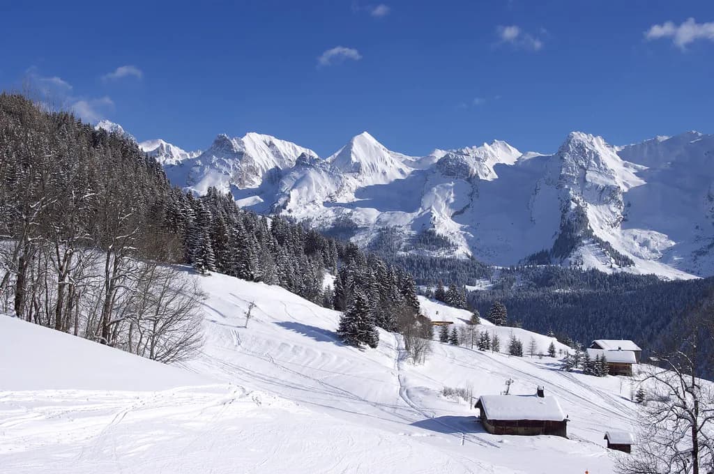 Le Grand Bornand Skiing: Resort Guide for Trip Planning