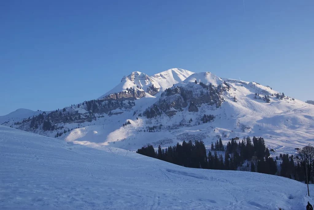 Le Grand-Bornand Ski Lessons: Schools, Formats and Booking