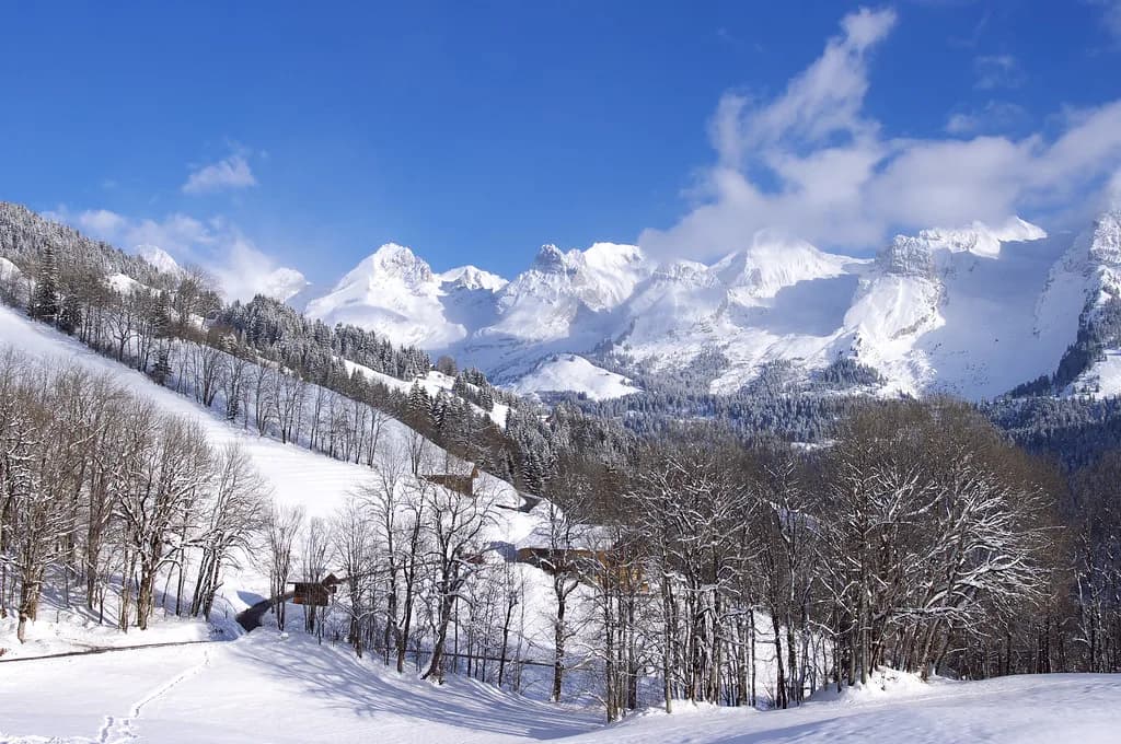 Le Grand-Bornand Ski Pass: Coverage and Duration Options