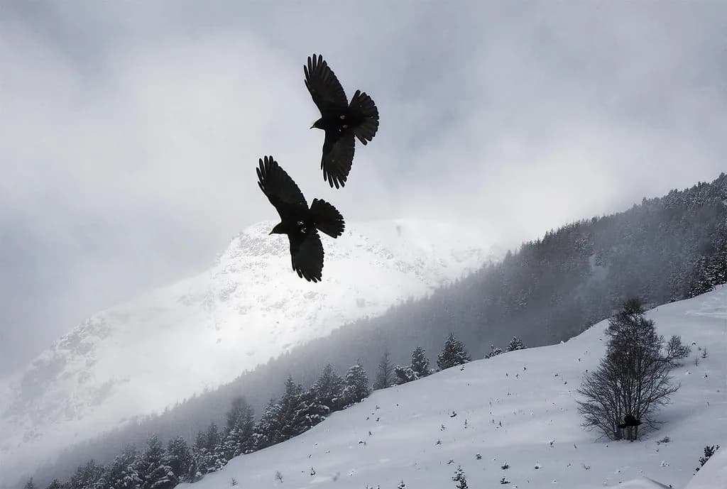 Les Deux Alpes Snowboarding: Terrain, Parks and Lifts