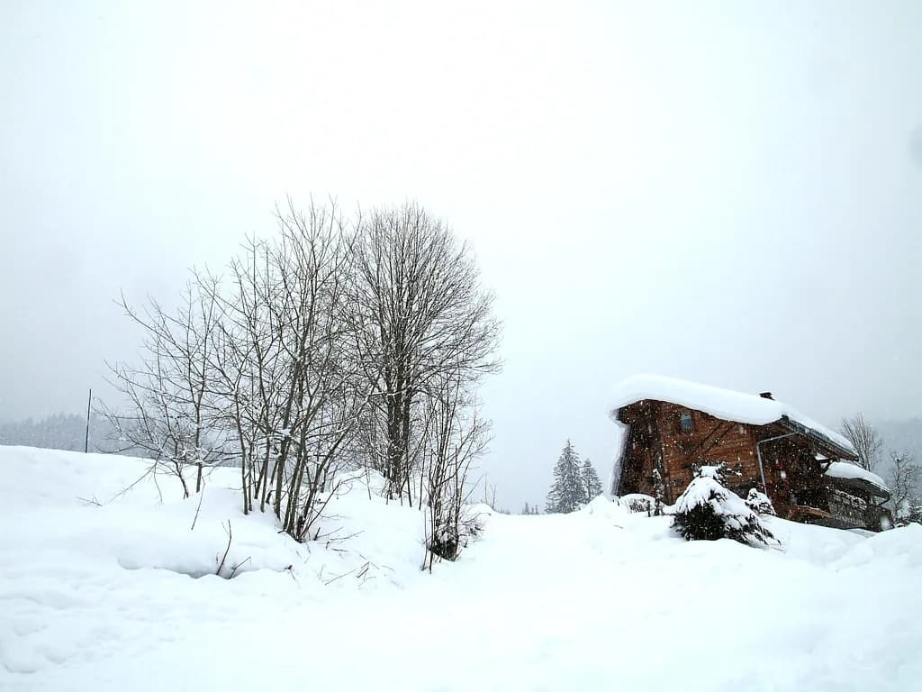 Les Gets Ski Map: Sectors, Links and Live Piste Status