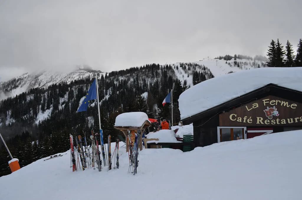 Les Houches Skiing Guide: Sectors, Passes and Planning