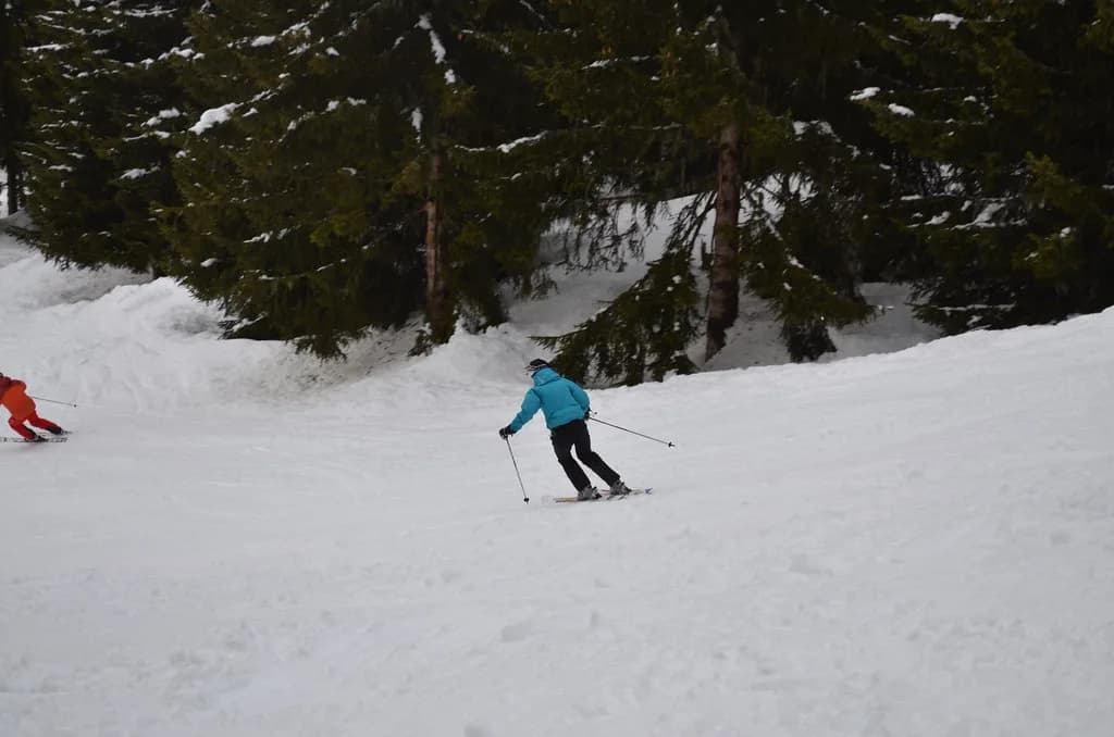 Les Houches Ski Pass: Coverage and Buying Decisions