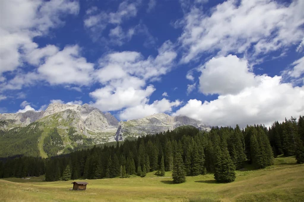 Madonna di Campiglio Ski Lessons: Schools, Groups & Booking