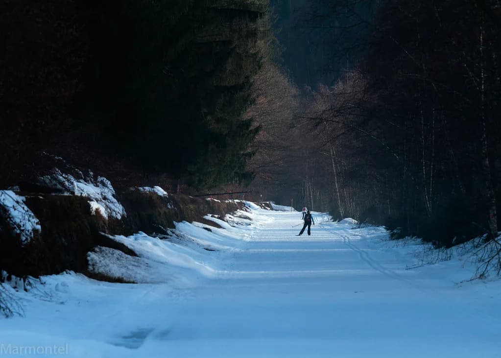 Samoëns Ski Pass Guide: Coverage, Duration and Buying Options