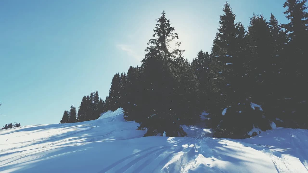 Samoëns Snowboarding Guide: Lifts, Park Access and Passes