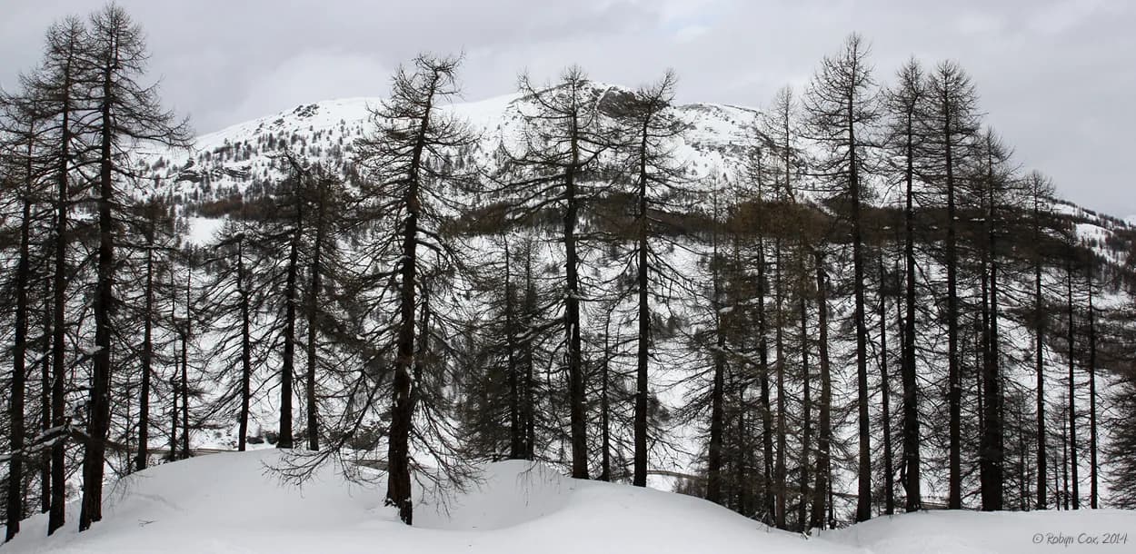 Sestriere Ski Map: Reading the Via Lattea Piste Map
