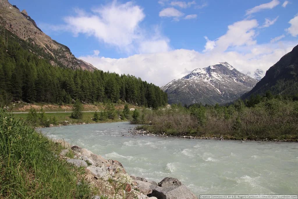 St Moritz Ski Map: Best Areas to Ski and How to Choose