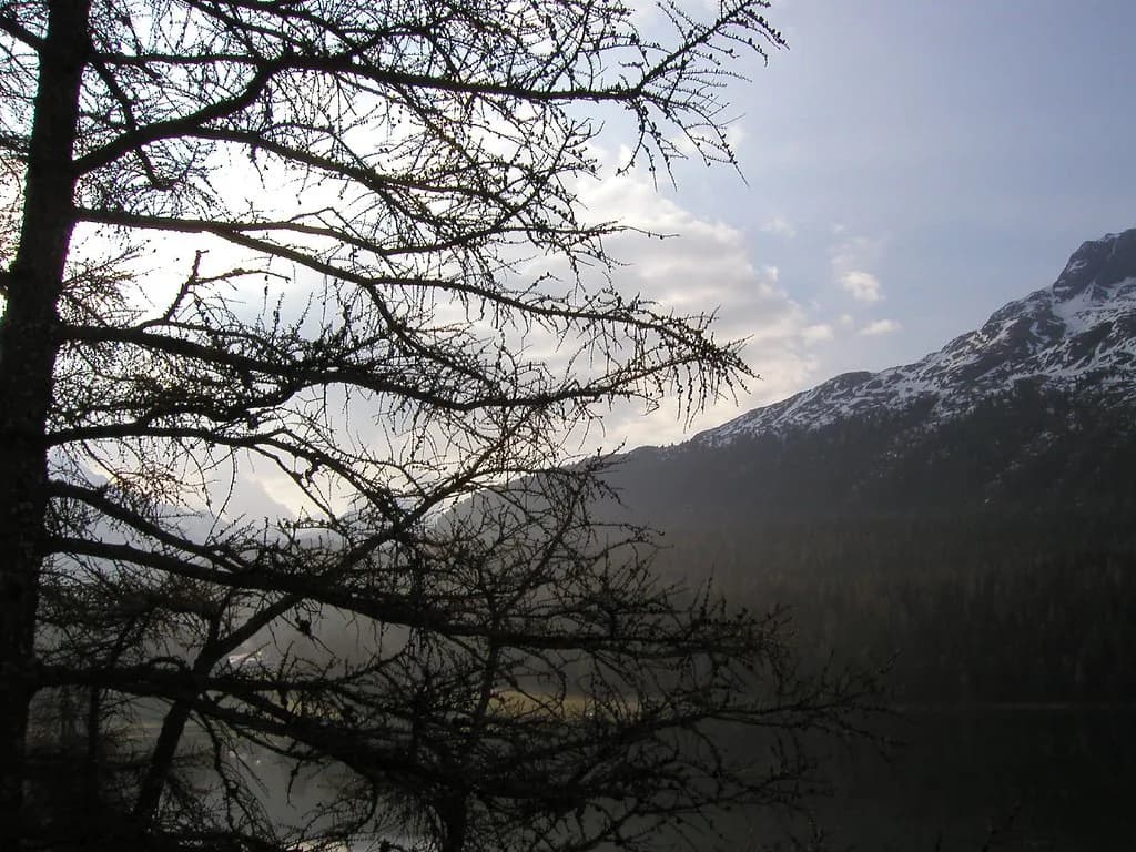St Moritz Ski Pass: Which Ticket Fits Your Trip