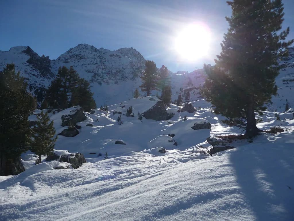 Verbier Ski Lessons: How to Choose School, Group or Private