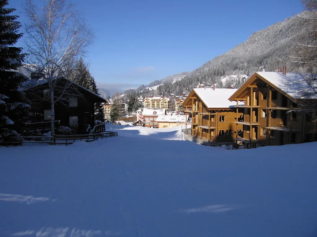 Wengen Skiing: Jungfrau Region Guide to Sectors and Passes