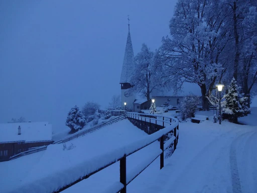 Wengen Ski Lessons: Beginner Package or Kids Group Course?