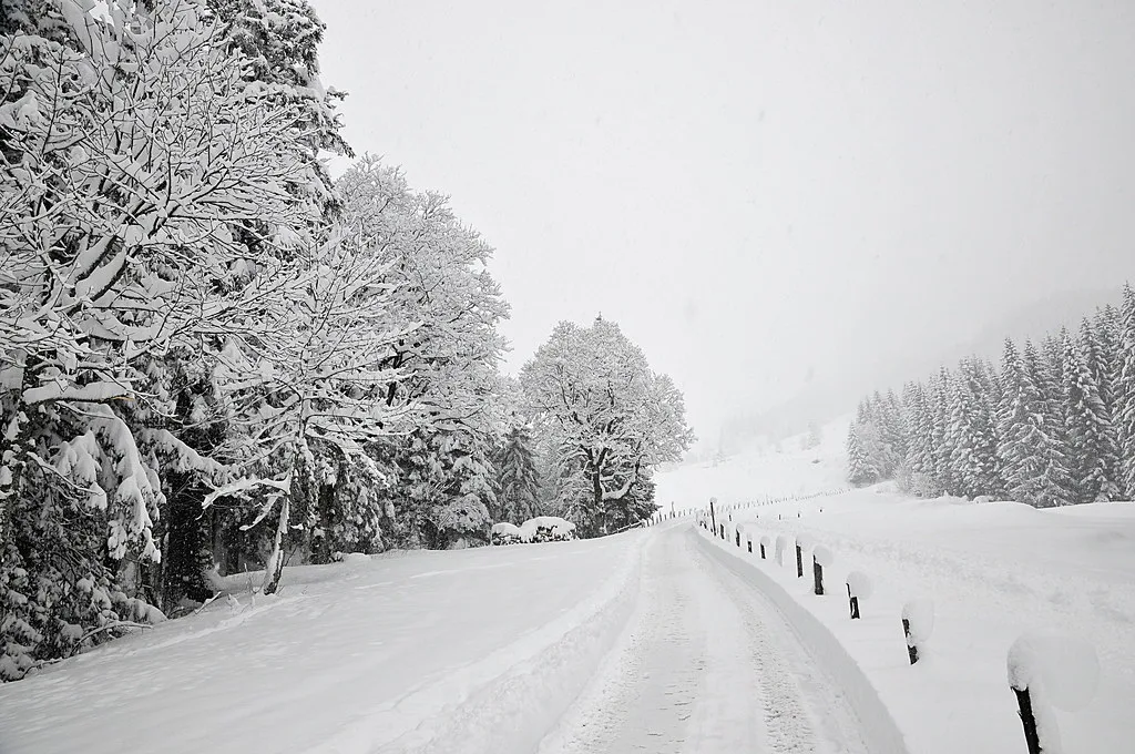 Snow above Grindelwald