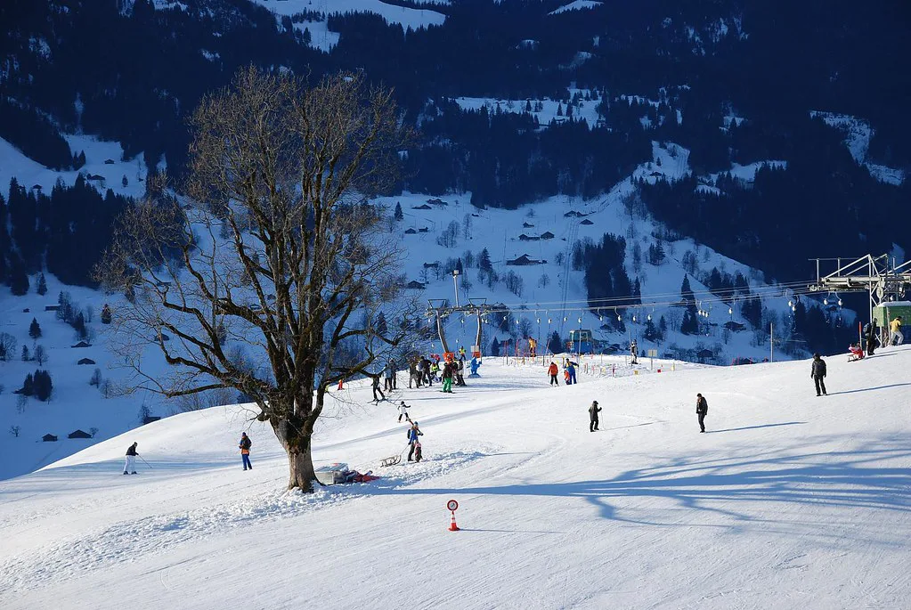 Grindelwald, Switzerland