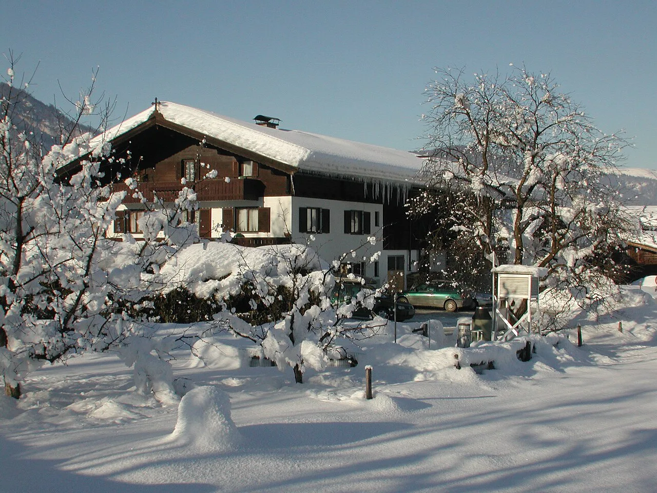 Moar, Kitzbühel