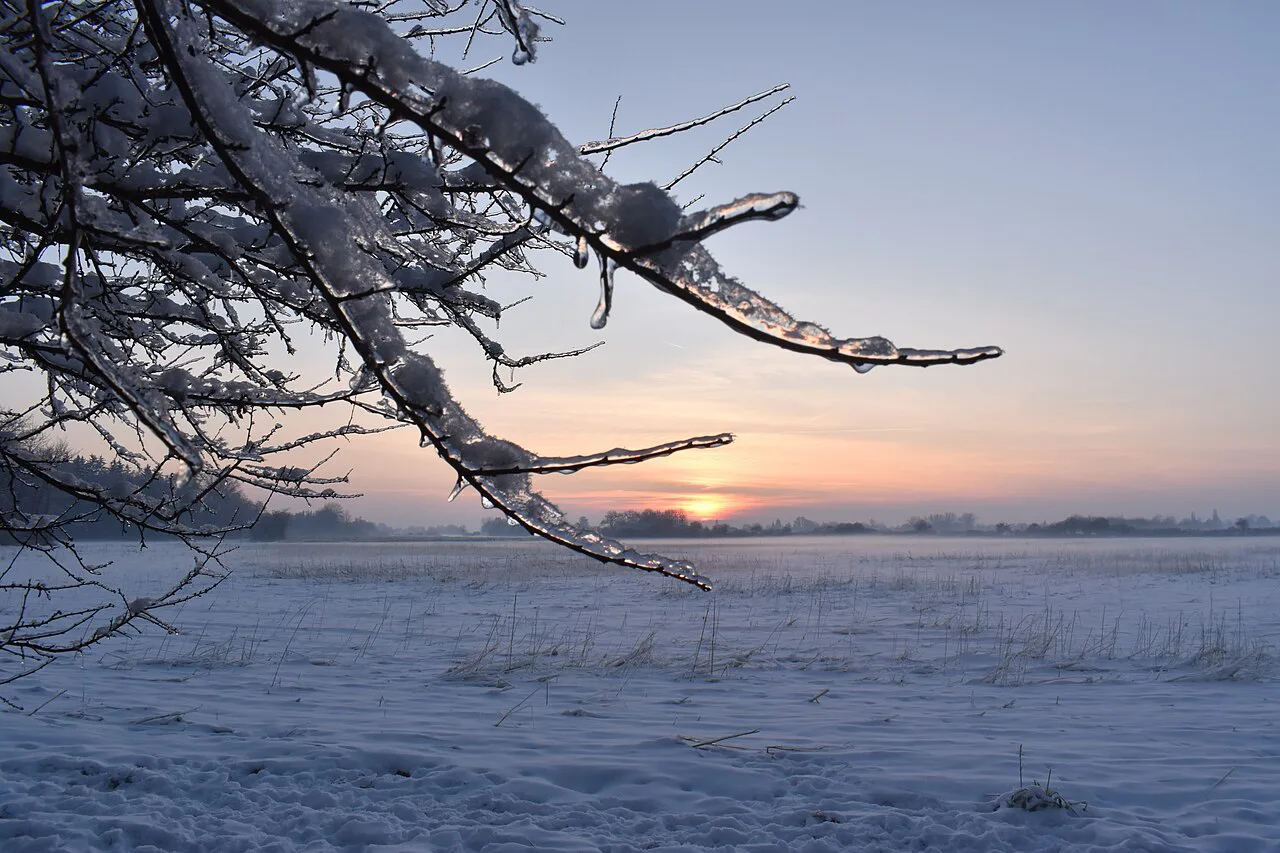 Sonnenuntergang im Winter mit nebliger Heide, Lech