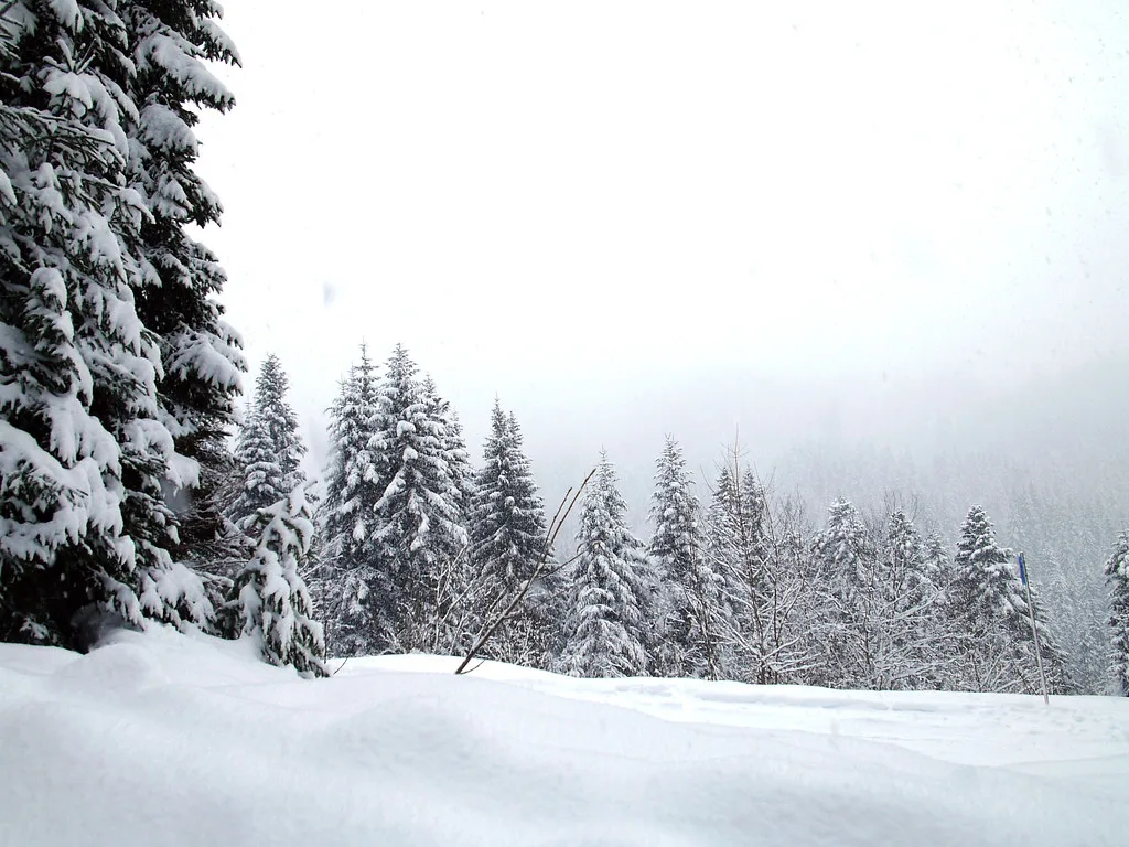 Snowfall, Les Gets