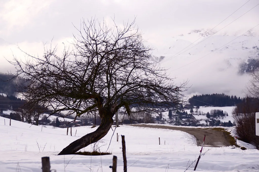 Combloux, Megève