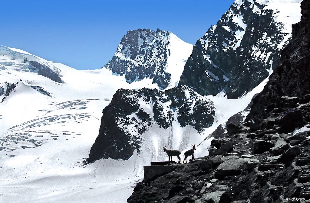 Swiss mountains, Saas-Fee