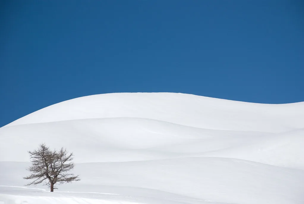 Little tree, Serre Chevalier
