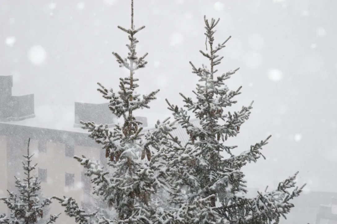 Snowing , Sestriere