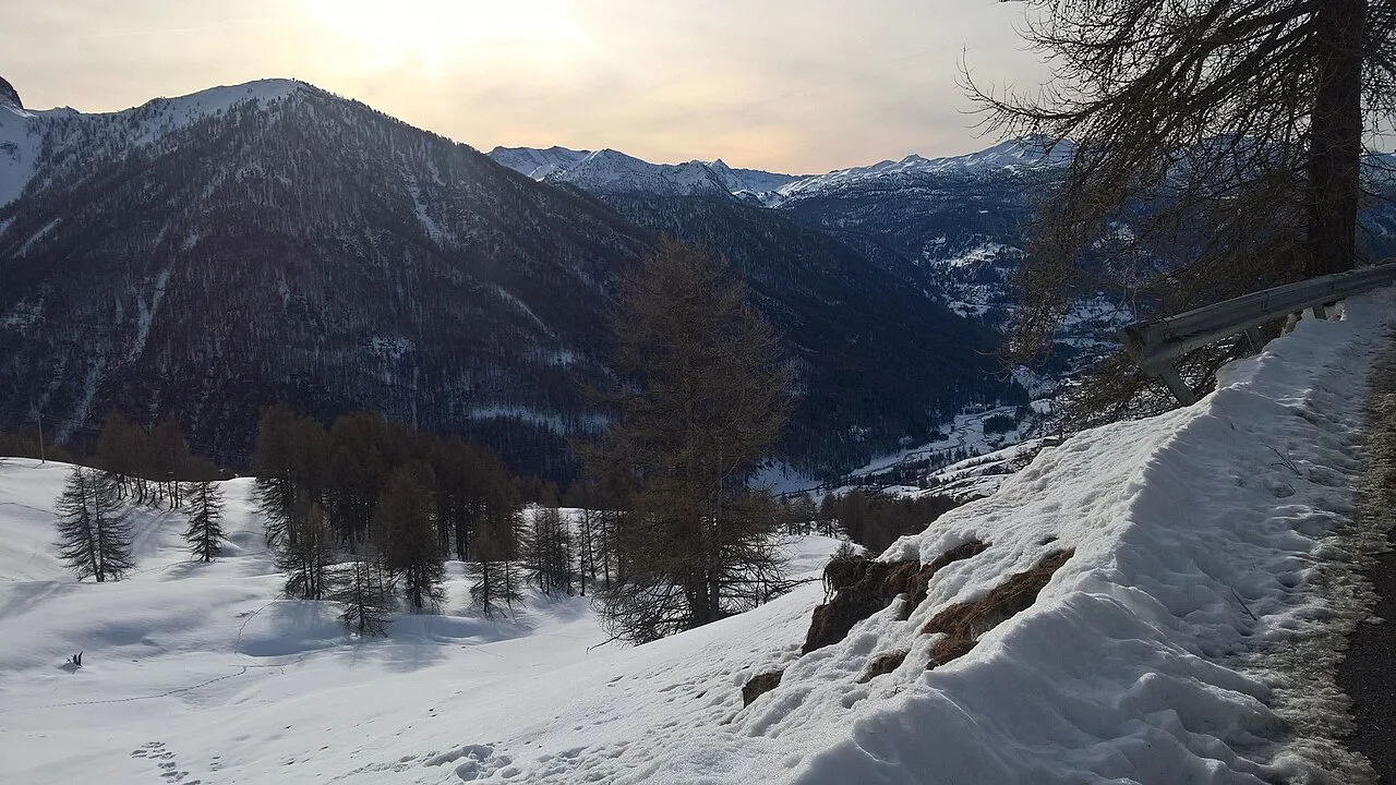 Snow, trees in hills in Champlas - Colle Sestriere
