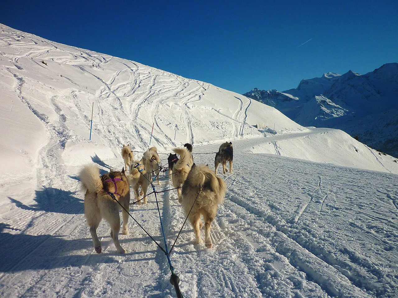 Huskies winter excursion at Verbier Ski Station - panoramio