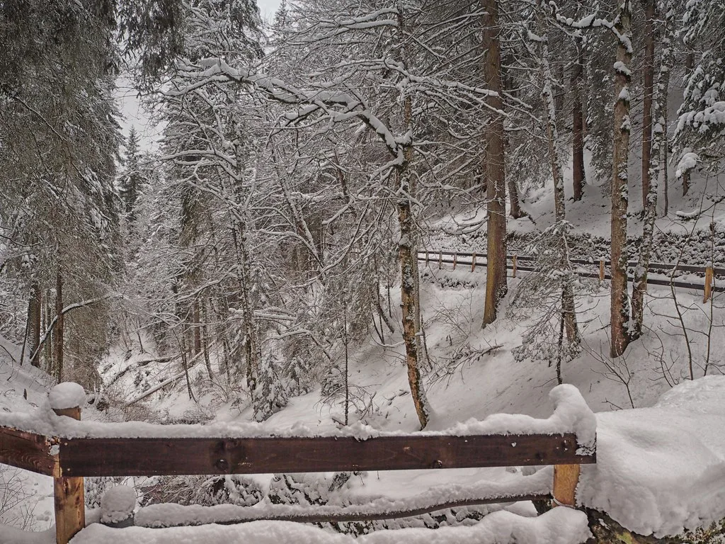 The Path to Wengen